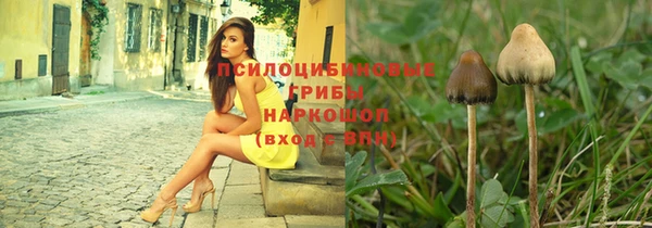 альфа пвп Заволжск