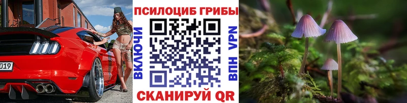 Купить закладки  Светогорск  Галлюциногенные грибы Magic Shrooms 